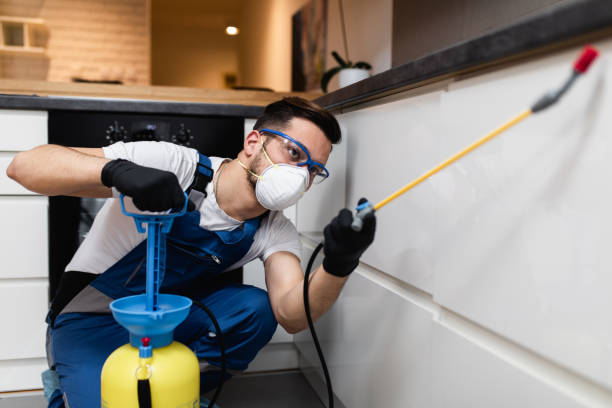 Best Affordable Pest Control Services  in Allison, IA