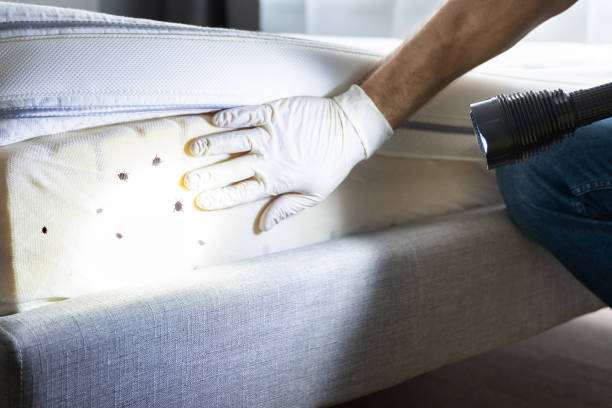 Pest Control for Restaurants in Allison, IA